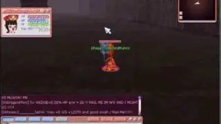 Flyff HnR Full Int Ele Lvl 75