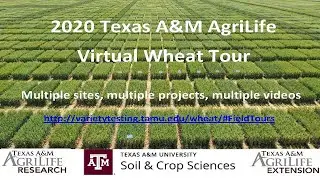 2020 Variety Trials   McGregor