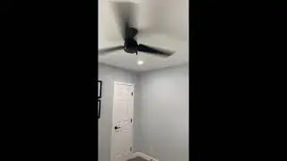 Review HUNTER Hunter Cassius Indoor / Outdoor Ceiling Fan with Pull Chain Control, 52