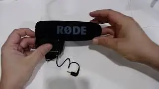 Как использовать направленный микрофон Rode
