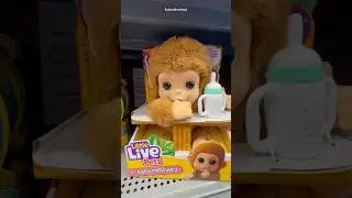 Little live pets #my baby monkey #cute#toys #shortsfeed #shorts