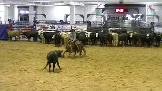 10-16-20  ACHA Championship - Belton, TX - Phil Hanson - HISS N VINEGAR - Open Classic - score 153