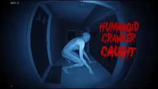The Humanoid Crawlers Caught on Ring Cameras - Vanishings, and Terrifying Eyewitness Reports