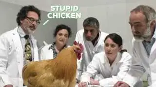 do animals remember everything do they have memory