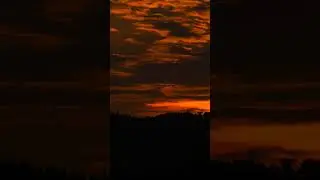 NCV