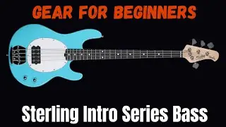 Снаряжение для начинающих | Stingray Bass серии Intro