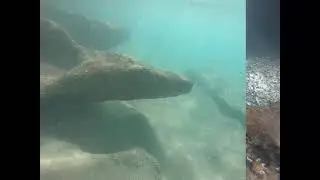 USVI Saint Croix 2021 HD