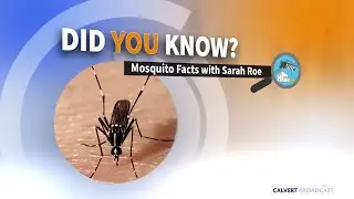 Meet Your Mosquito Control Division - Public Works - Calvert County, MD