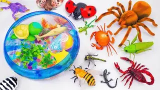 🦈Toy ASMR🦈RC Tarantula Spdier & RC Crab & RC LadyBug & Lizard ASMR Satisfying with Unboxing