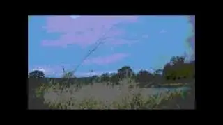 Muddy Water Duck Hunts