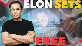 #ElonMusk SETs TWITTER FREE @sfcspectacular