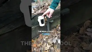 Обеспечение безопасности вашей собственности с помощью камеры Ring Stick Up #ringcamera