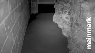 Mainmark Void Fill