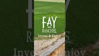 Green Valley Ranch | #california #landforsale #realestate #ranchforsale