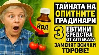ТАЙНАТА НА ОПИТНИТЕ ГРАДИНАРИ: 3 ЕВТИНИ СРЕДСТВА ОТ АПТЕКАТА ЗАМЕНЯТ ВСИЧКИ ТОРОВЕ!