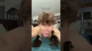 Как бы я хотела, чтобы они остались навсегда! #животные