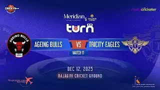 CRICK-IT CRICKET CLUB || TURN 2025 || AGEING BULLS VS TRICITY EAGLES || MATCH 11