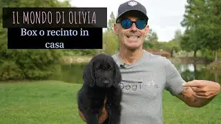 Box o recinto in casa! Il mondo di Olivia