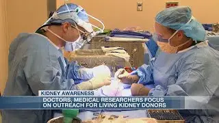 U.S. experiencing national kidney shortage despite improving procedures, organ compatibility