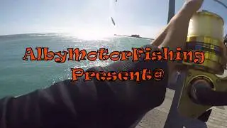 Test ignorante Daiwa GS9