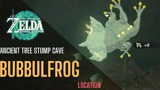 BUBBULFROG Location | Ancient Tree Stump Cave - The Legend of Zelda Tears of the Kingdom