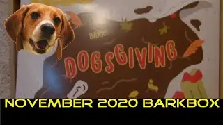 Dogsgiving - November 2020 BarkBox