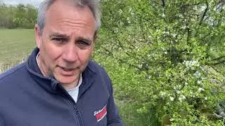 Tips for maurbekjempelse