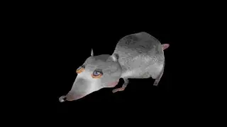 Rats Birthday Mixtape Remastered (Rat Movie 2)