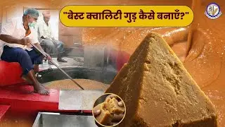 The Science Behind Jaggery | A Complete Film on Sugarcane Processing | RPCAU,Pusa Bihar