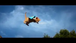Bobina -  Flying Kitten