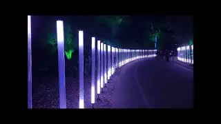 Lightscape at the LA Arboretum