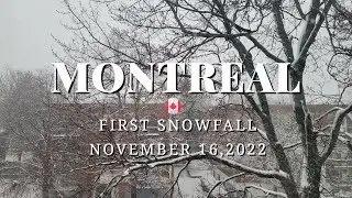 Montreal's First Snowfall #snow #montreal #snowfall2022