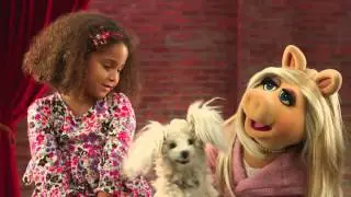 Dog Training | Muppet Moments | Disney Junior