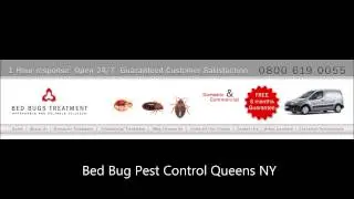 Bed Bug Pest Contol Exterminator Queens NY 347 229 2788