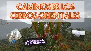 CAMINOS DE LOS CERROS ORIENTALES – KILOMETRO 11 Y 12 QUEBRADAS