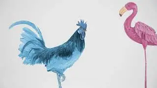 Highmark Health - Blue Hen - TV Campaign 1