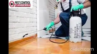 Pest Control Oxley | Pest Control in Oxley | Oxley Pest Control