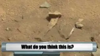 'Alien thigh bone' on Mars: Excitement from alien hunters at 'evidence' of extraterrestrial life