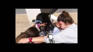 La Comarcal Dia de la dona 8 mar&ccedil; 2017