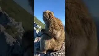 aglam n wadeg Bgayet