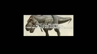  t. rex facts 😱 #trex  #video  #fypシ 