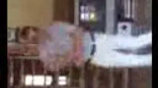 dodo teck dance