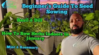 What To Sow In January Indoors. Indoor Herb Garden. Beginner's Seed Sowing Tips