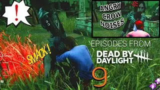 Episodes from DBD 9 (Funny & WTF Moments) 😂