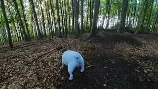 Sprockh&ouml;vel Gewerbegebiet Tackenberg / Am Hilgenstock mit neuer Cam