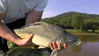 Feeder takmičenje 