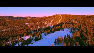 Bluebird Day