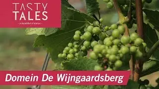 DOMEIN DE WIJNGAARDSBERG (Ulestraten) &bull; Winemaking in South Limburg &bull;  Tasty Tales