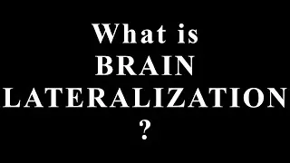 What Is Brain Lateralization? The Hidden Brain Split That Controls How You Think