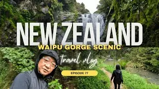 New Zealand - Waipu Gorge Reserve is a beautiful and tranquil spot | Episode 77